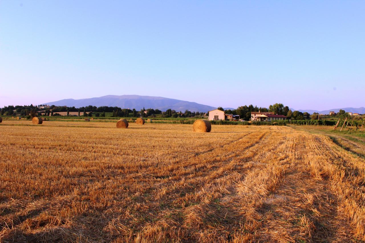 Le Case Bevagna Extérieur photo