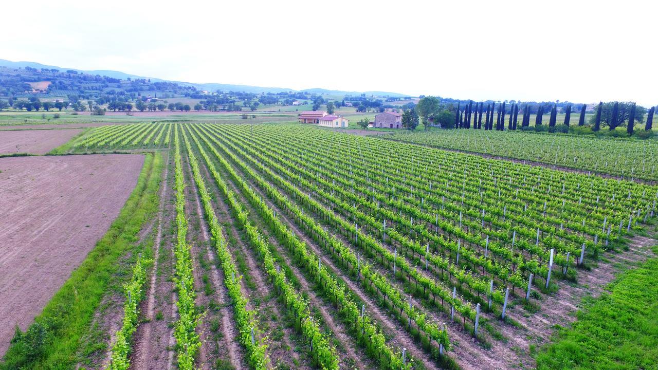 Le Case Bevagna Extérieur photo